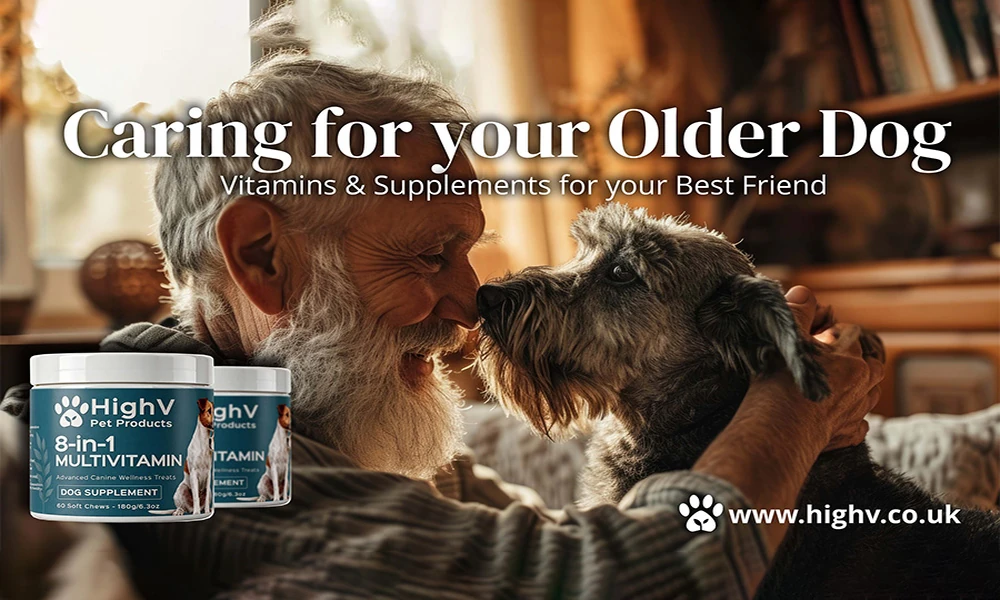 What the Evidence Actually Says About the Ingredients in Dog Supplements